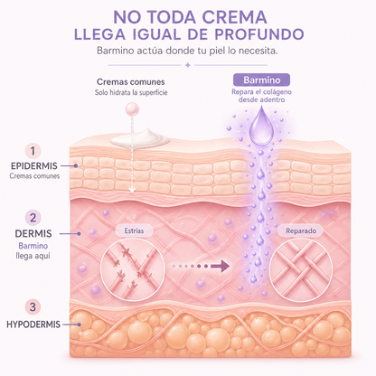 (5 Meses - Panza, Muslos y Busto) Tratamiento Barmino® Personalizado Antiestrias y Flacidez Postparto + Guia Masaje Drenante para Grasa Abdominal + Potenciador Dermico Resultados 3X Más Rápido + Acceso Comunidad Mamás Barmino